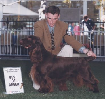 Breed Feature Photo - Unauthorised use prohibited!