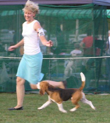 Breed Feature Photo - Unauthorised use prohibited!