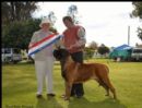 Click to see more details for this dog