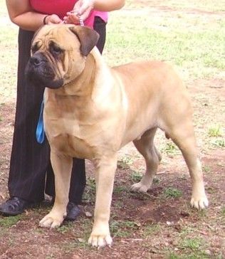 Breed Feature Photo - Unauthorised use prohibited!