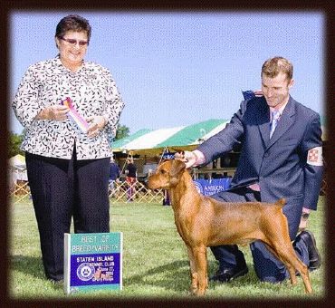 Breed Feature Photo - Unauthorised use prohibited!
