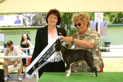 Breed Feature Photo - Unauthorised use prohibited!