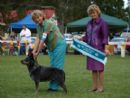 Click to see more details for this dog