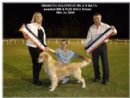 Click for more details of this dog