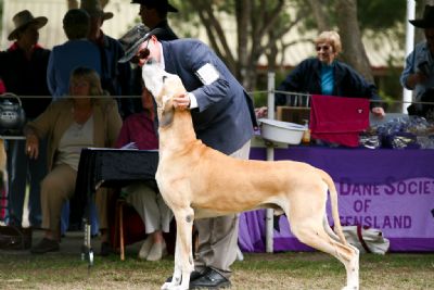Breed Feature Photo - Unauthorised use prohibited!