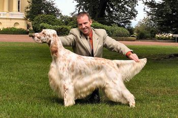 Breed Feature Photo - Unauthorised use prohibited!