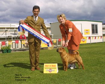 Breed Feature Photo - Unauthorised use prohibited!