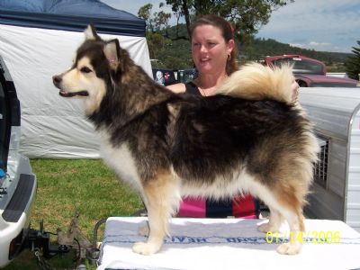 Breed Feature Photo - Unauthorised use prohibited!