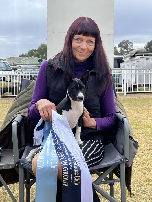 Tamworth Kennel Club (AM Show) Show Manager Results